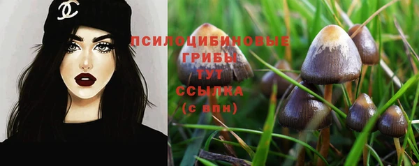 марки nbome Богданович